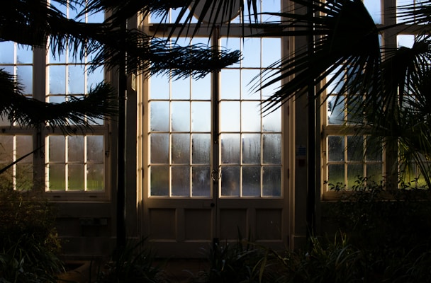 Tall glass doors surrounded by large windows, partially covered by shadows of overhanging tree branches. The doors reveal a view of a garden or park with hints of greenery outside. The sunlight creates a dramatic contrast between the bright view through the glass and the darker interior, adding depth and intrigue.