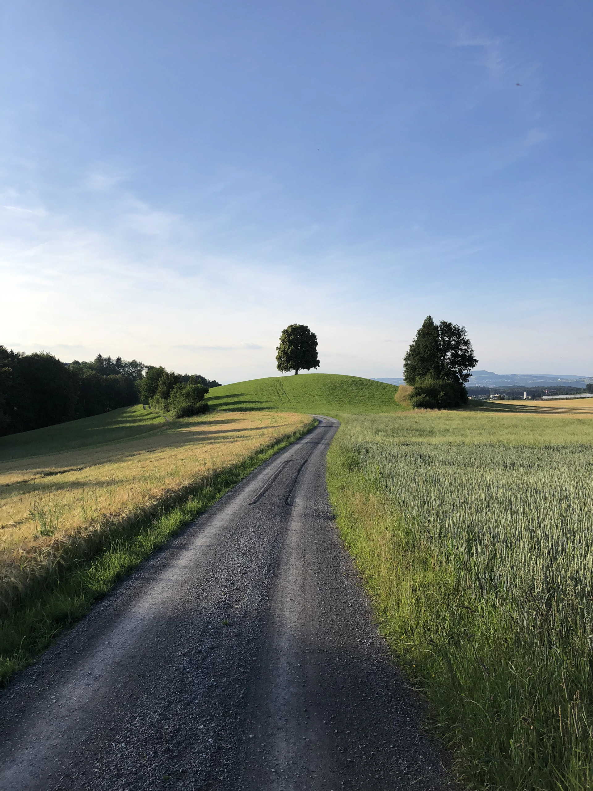 gray asphalt road between green grass field under blue sky during daytime