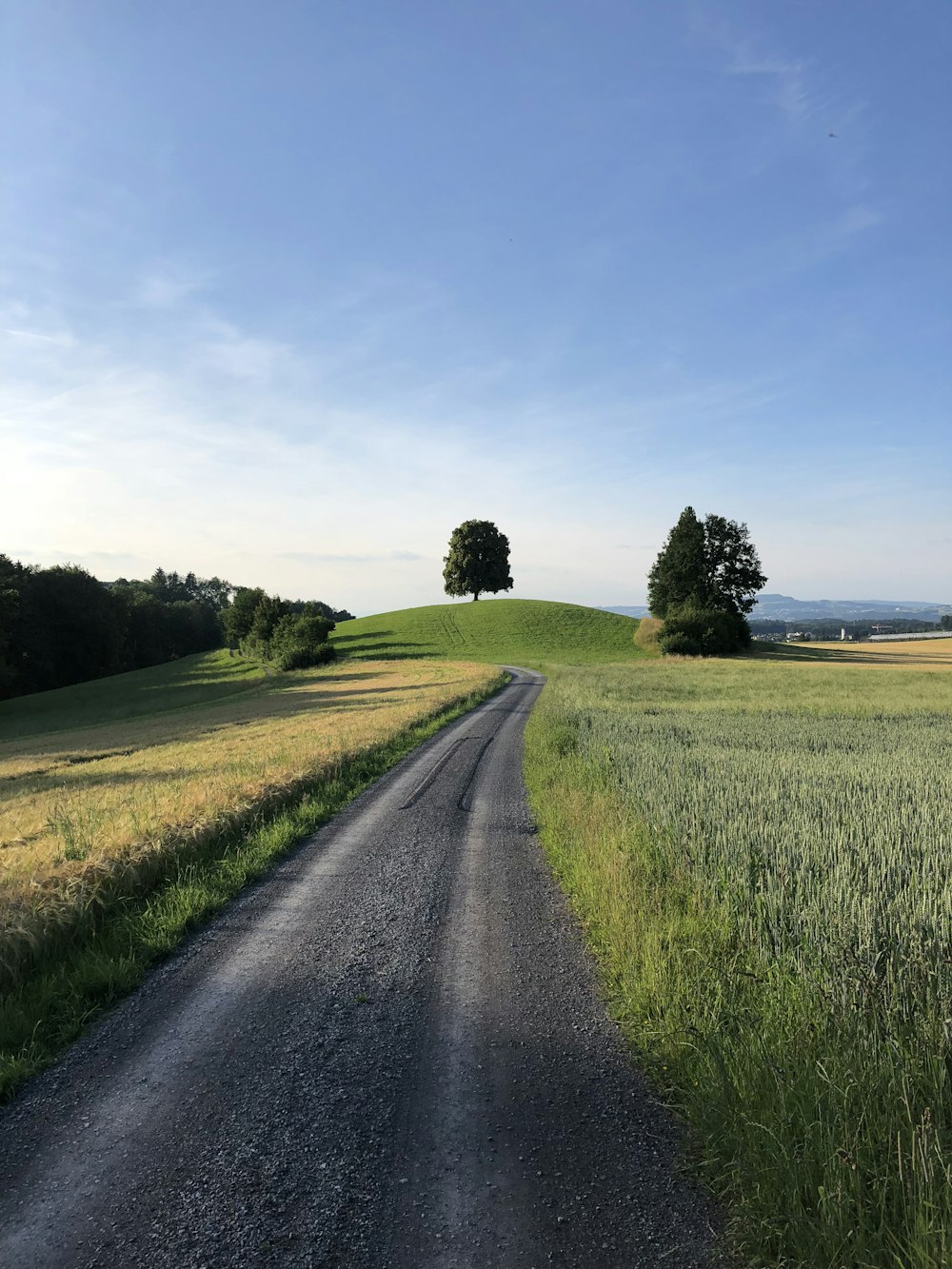 gray asphalt road between green grass field under blue sky during daytime