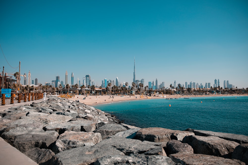 people on beach during daytime