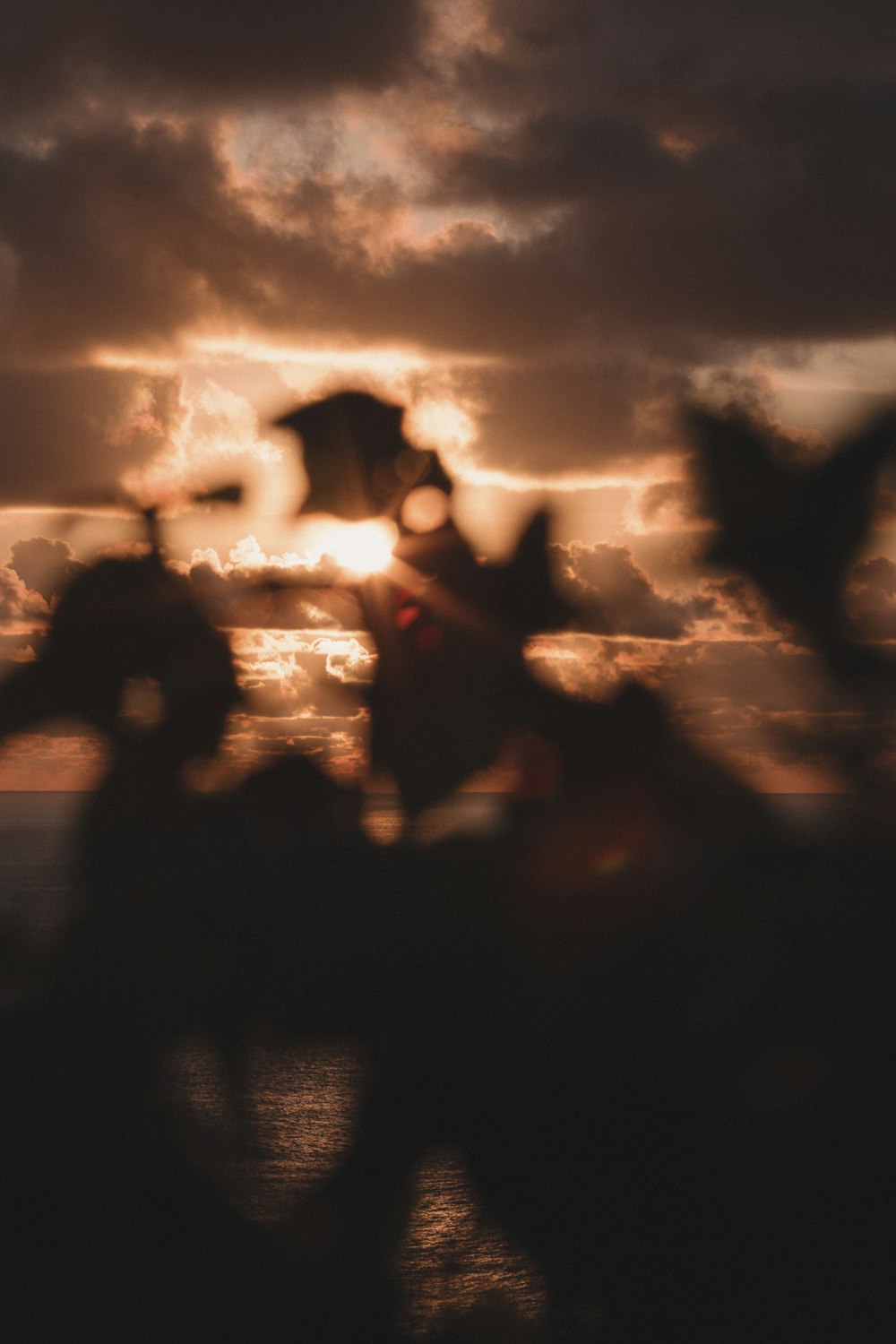 silhouette of people standing on field during sunset