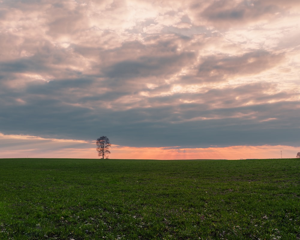 green grass field under cloudy sky during daytime