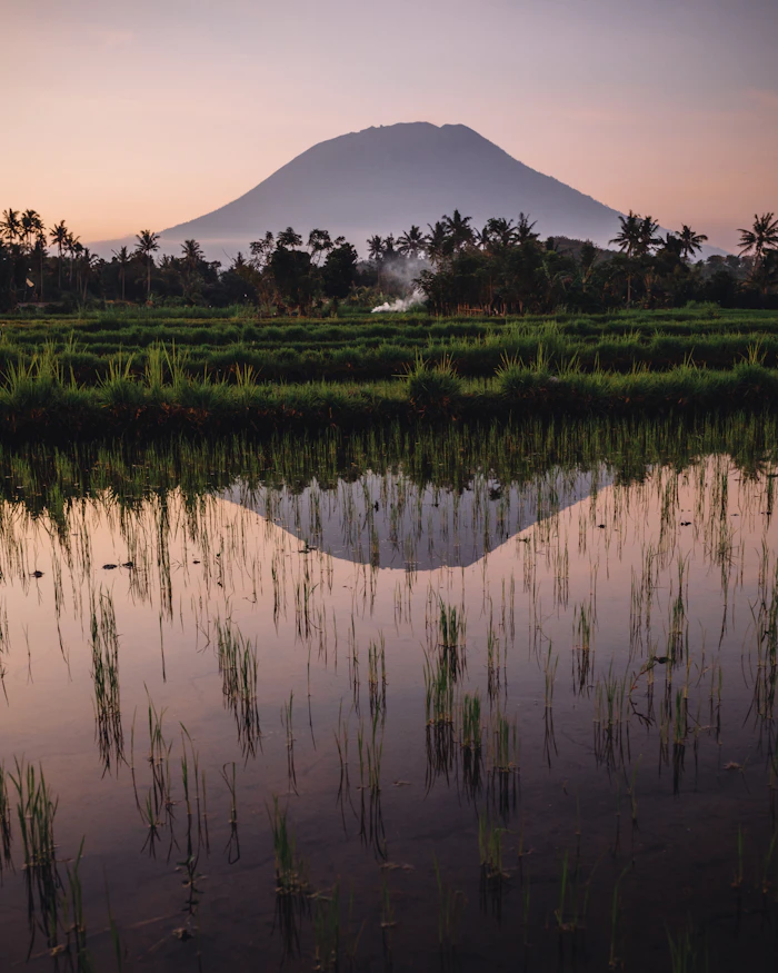 Lovina Dolphin Sunrise & Hot Springs — photo