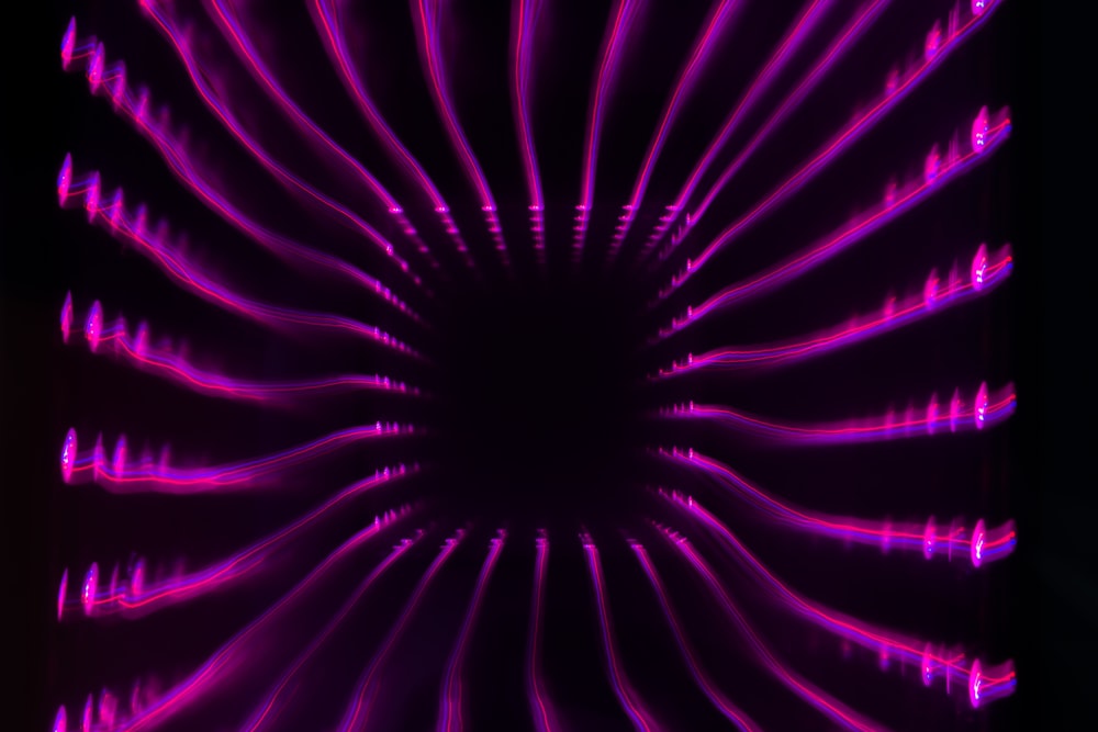 purple and white light illustration