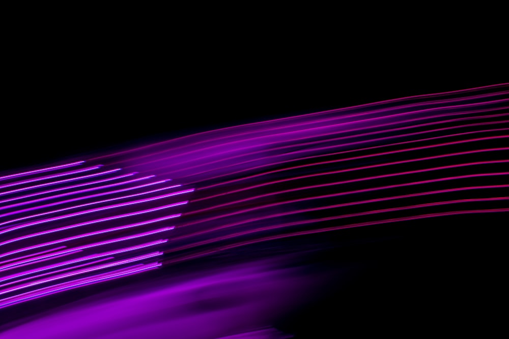 purple and pink light digital wallpaper