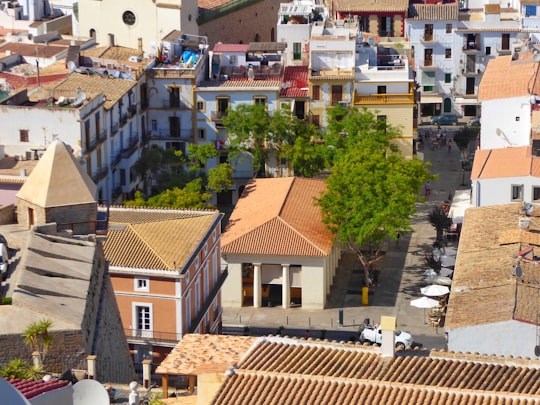aerial view of city buildings during daytime in Ibiza Spain