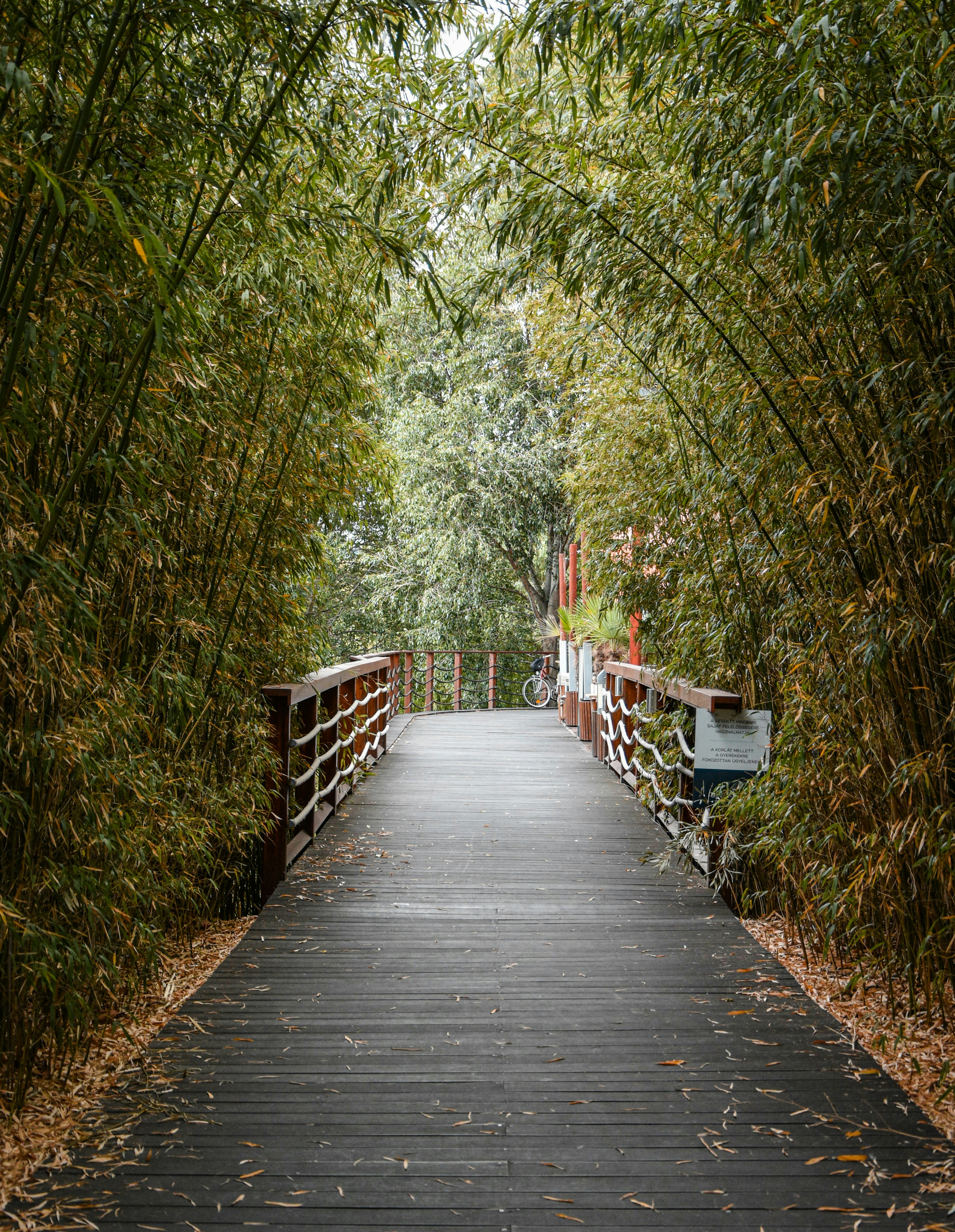 Photo by keszthelyit