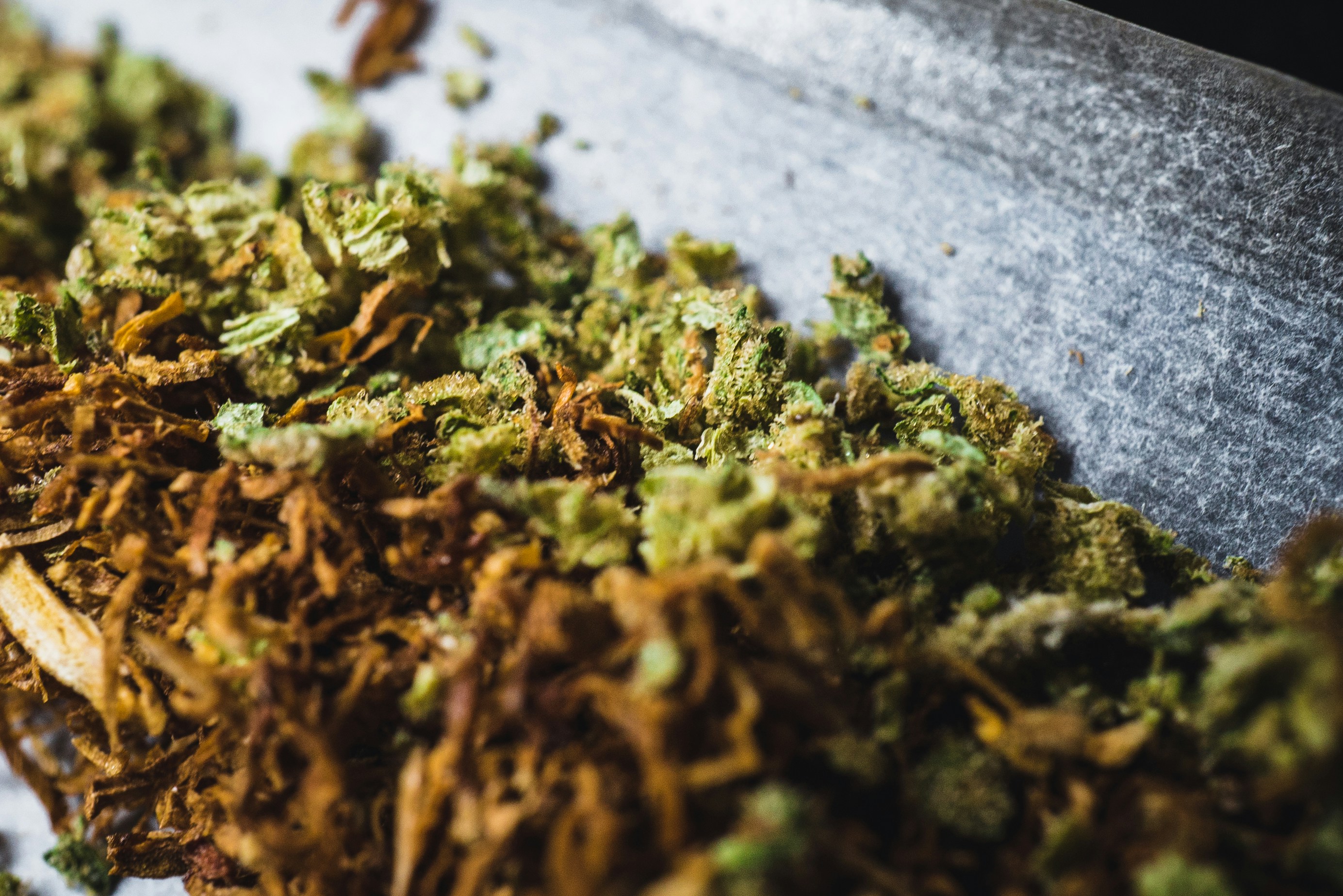 muschio verde su superficie bianca