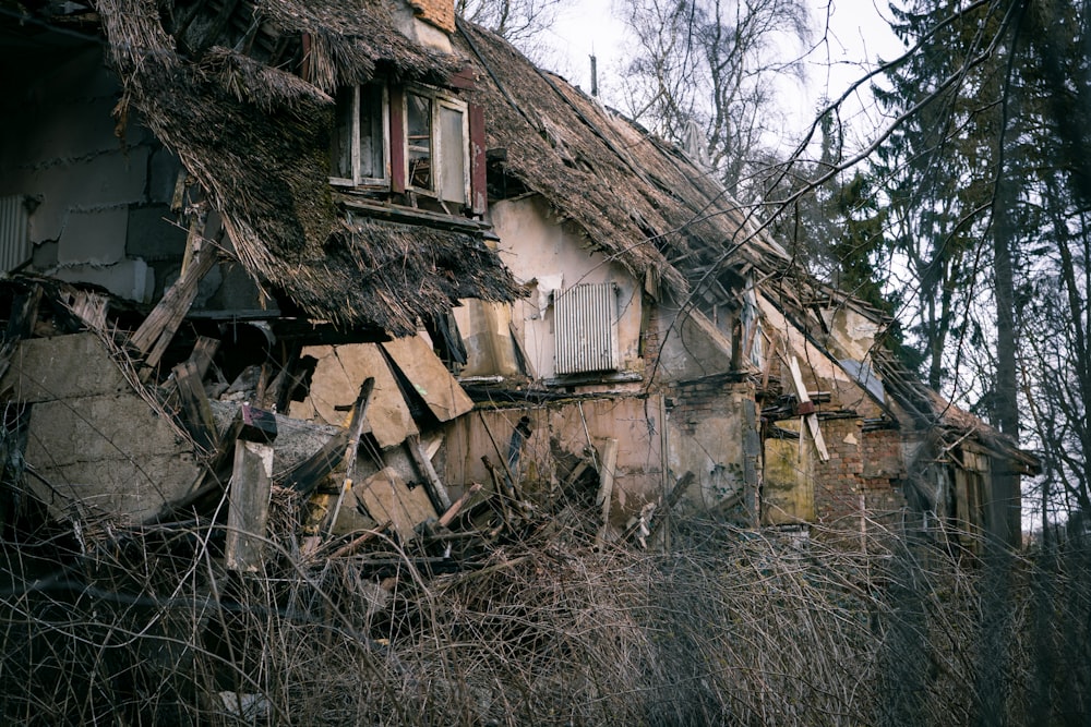 brown wooden house near bare trees during daytime