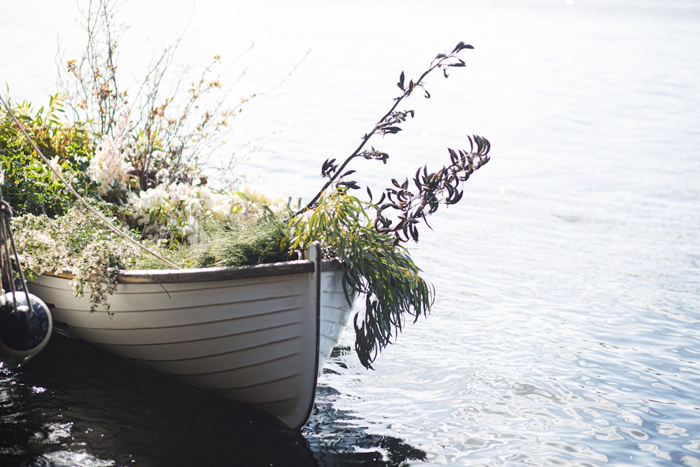 white boat on body of water during daytime