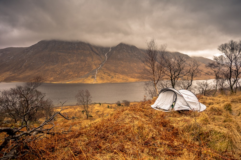 white tent on brown grass field near lake during daytime