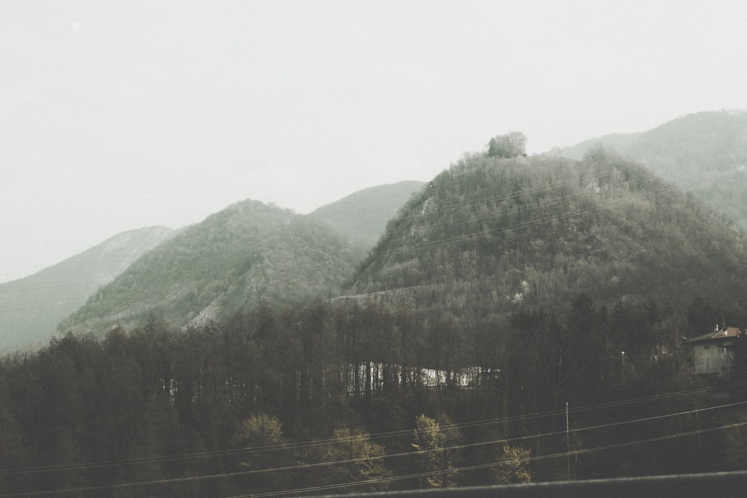 green trees on mountain during daytime