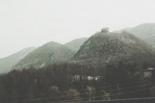 green trees on mountain during daytime in Bracca Italy