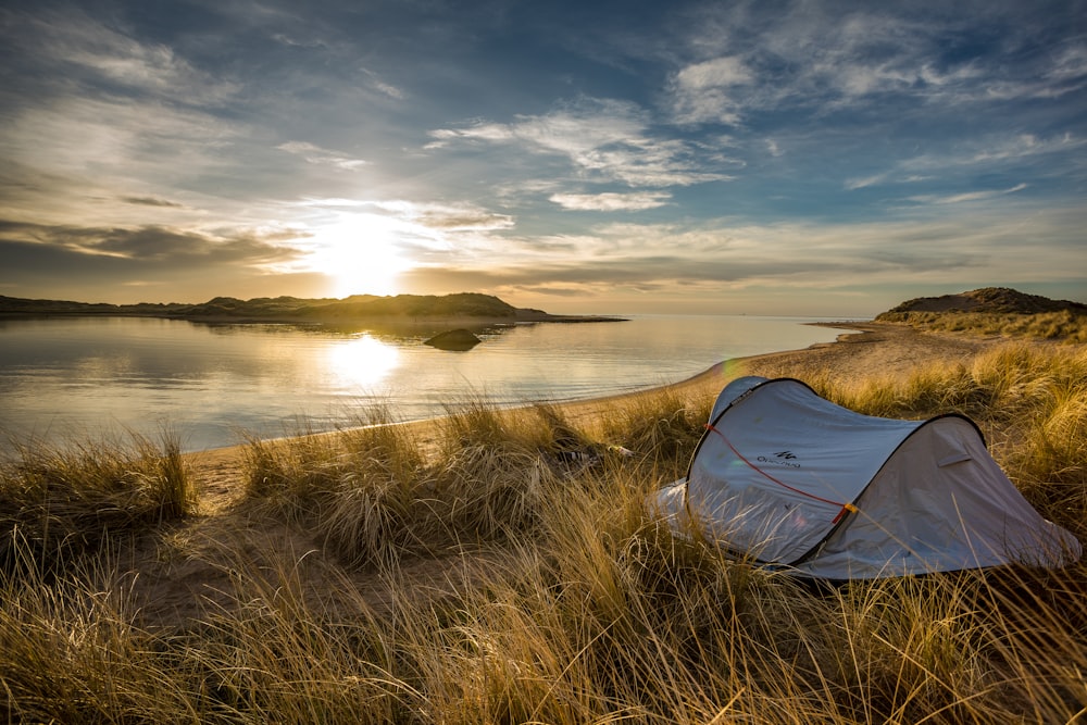 white tent on green grass field near body of water during daytime