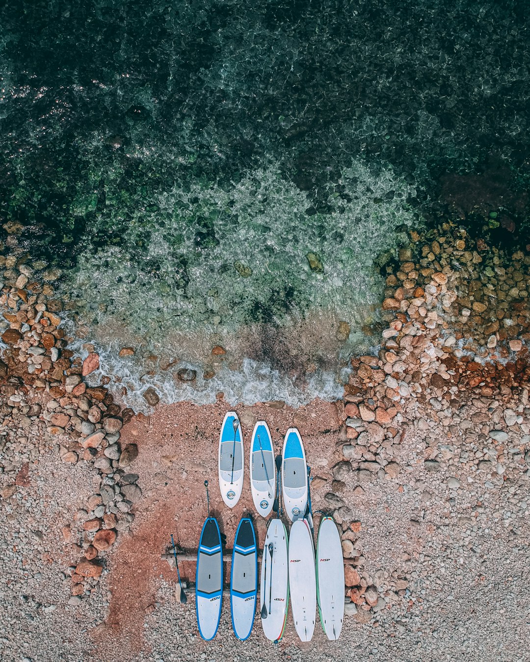 person in white and blue sneakers standing on brown dirt ground with green trees