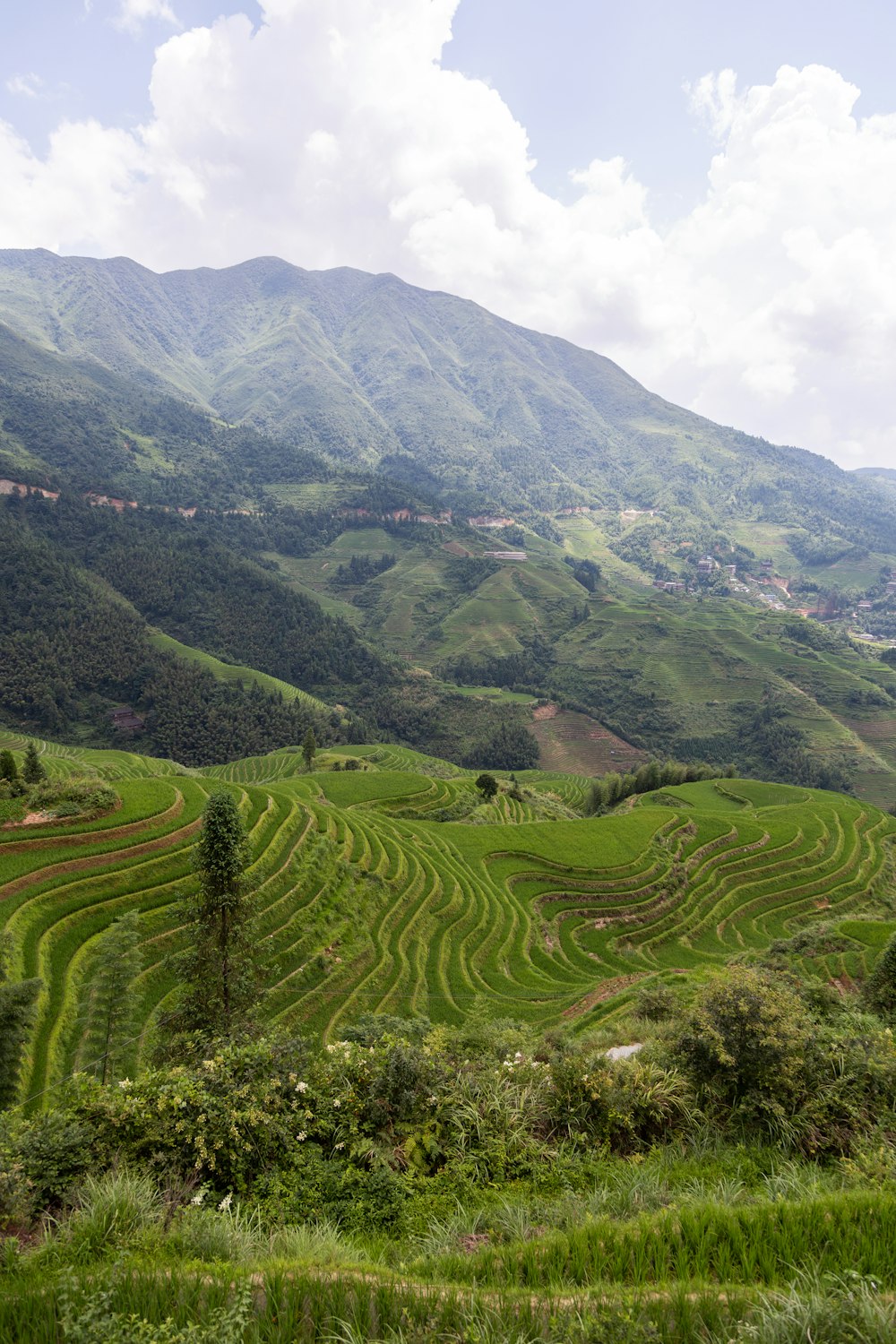 green grass field and mountain during daytime