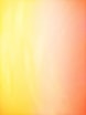 yellow and red color textile