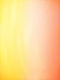 yellow and red color textile