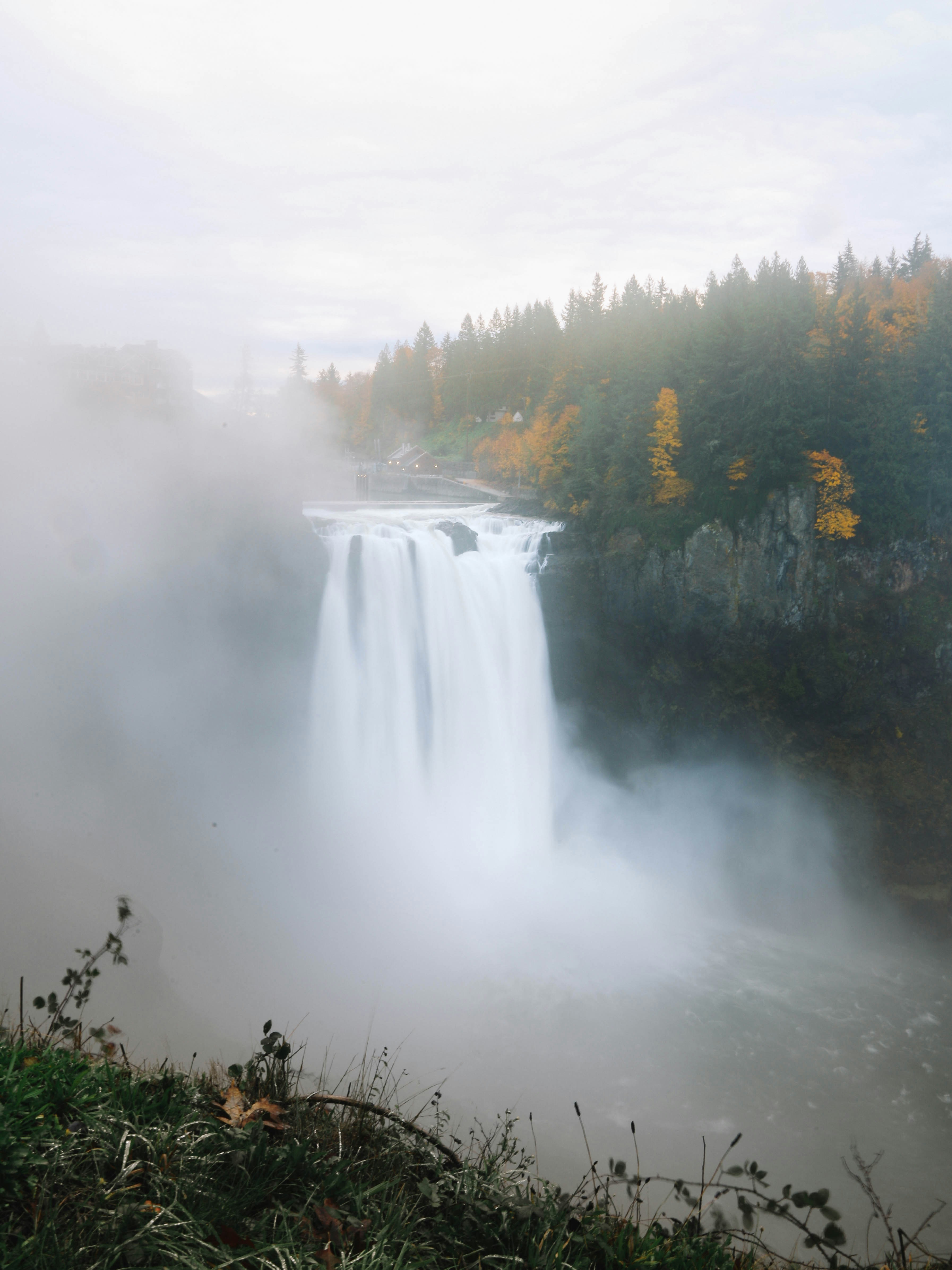 waterfalls near green trees during daytime
