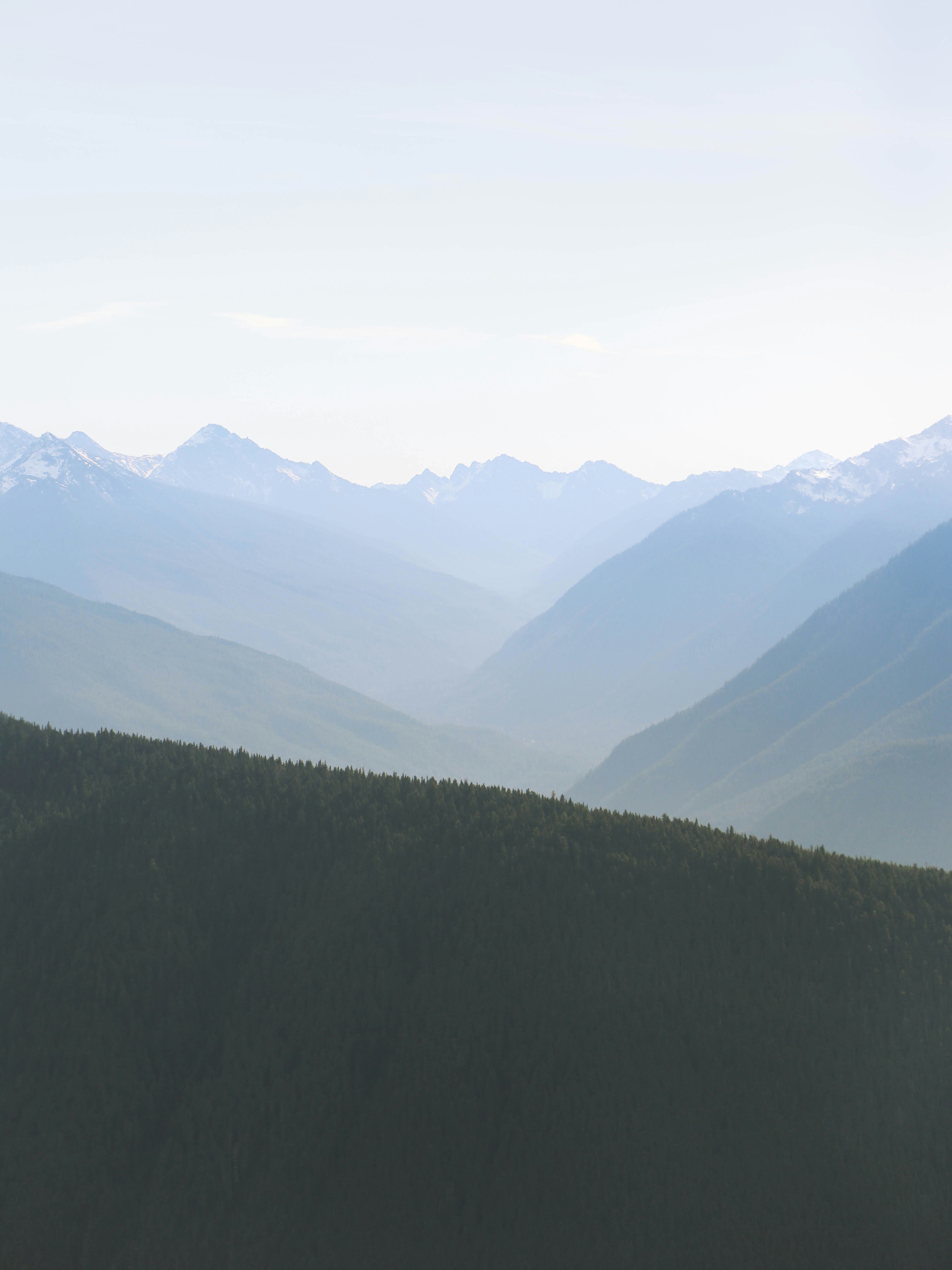 Photo by frstvisuals