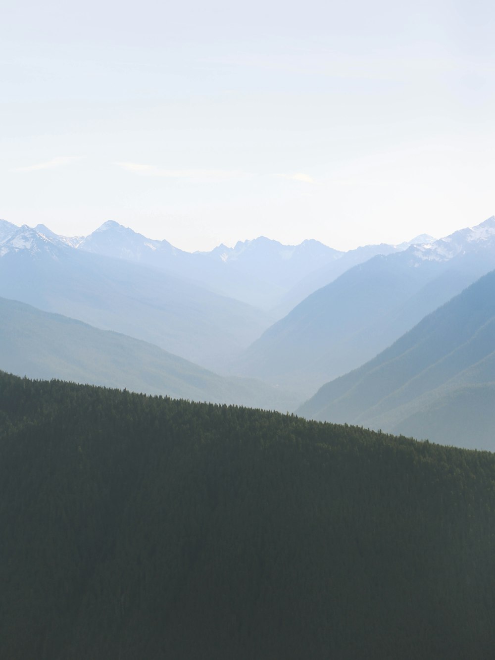 green trees on mountain during daytime