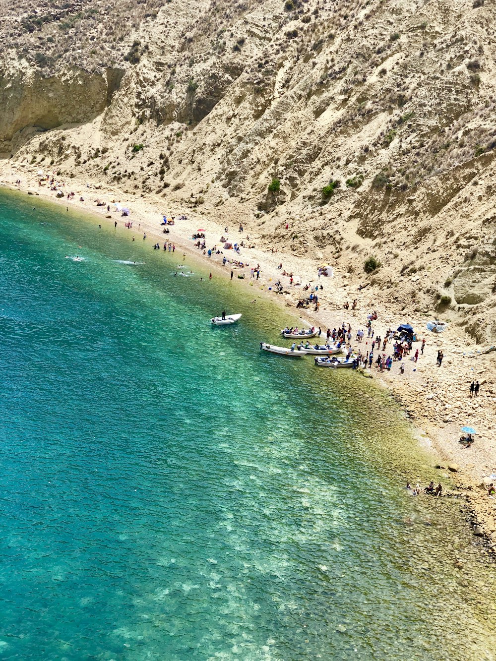 people on beach during daytime