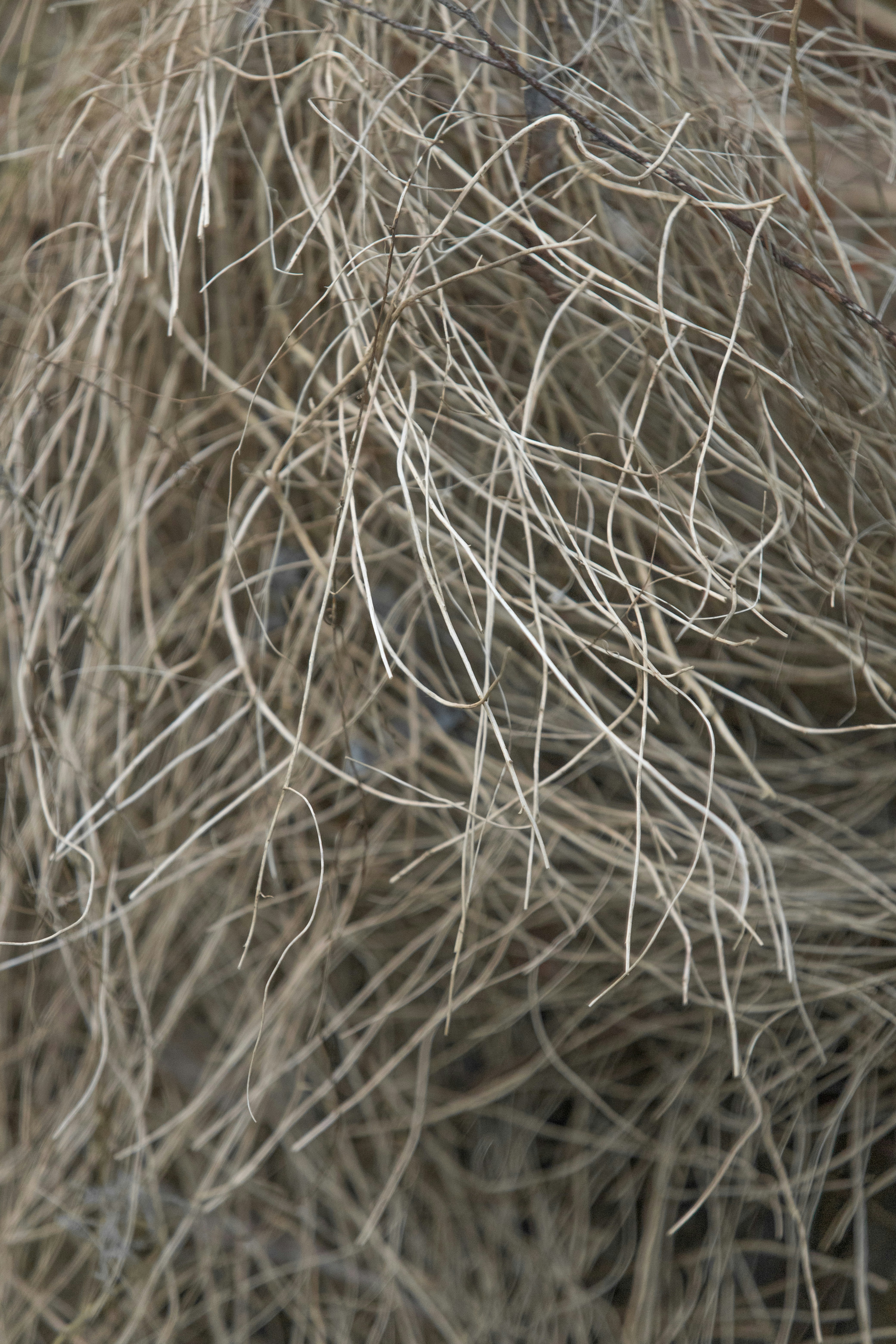 Tratamiento de keratina en salón