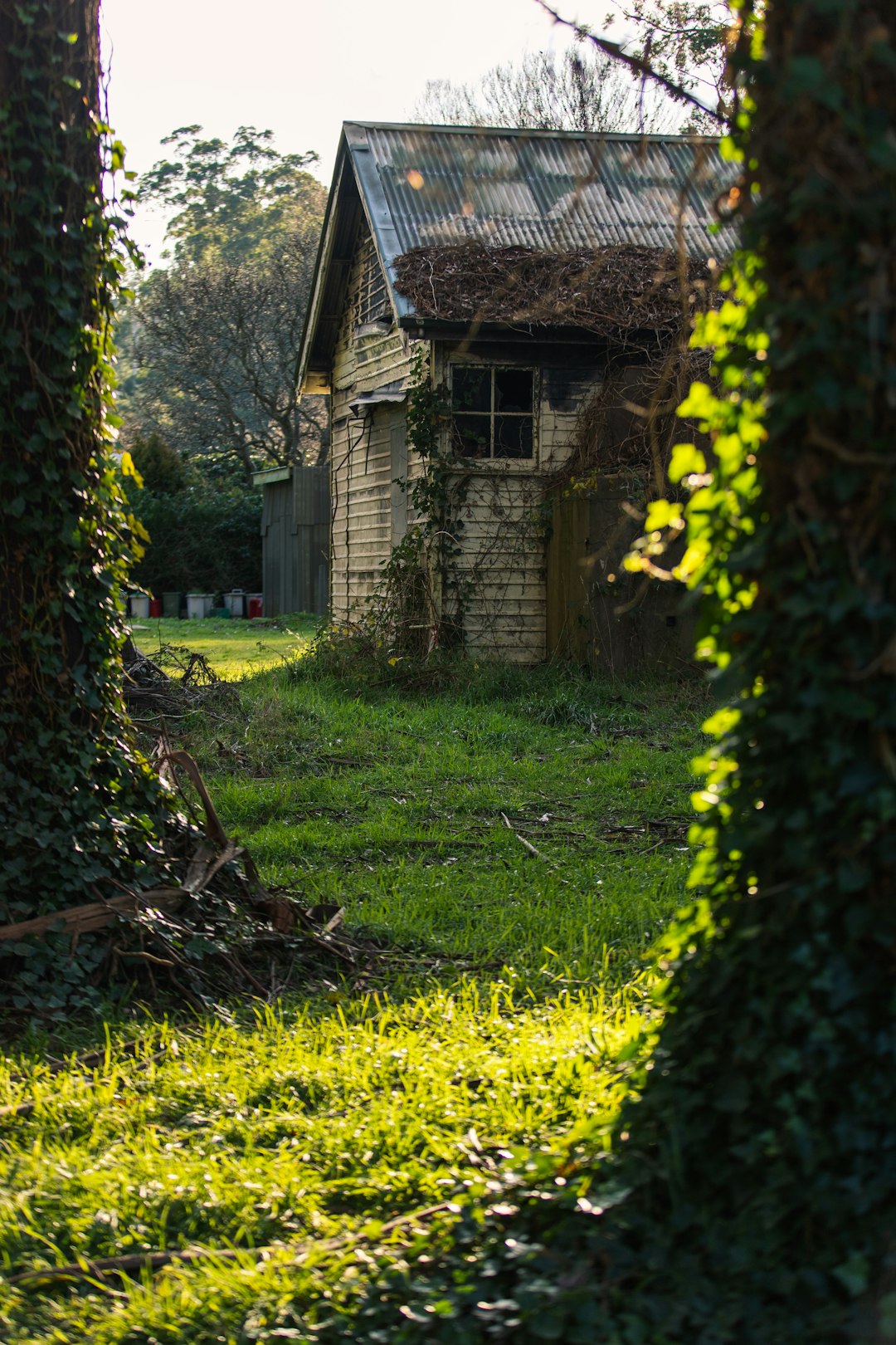 brown wooden house in the middle of green grass field