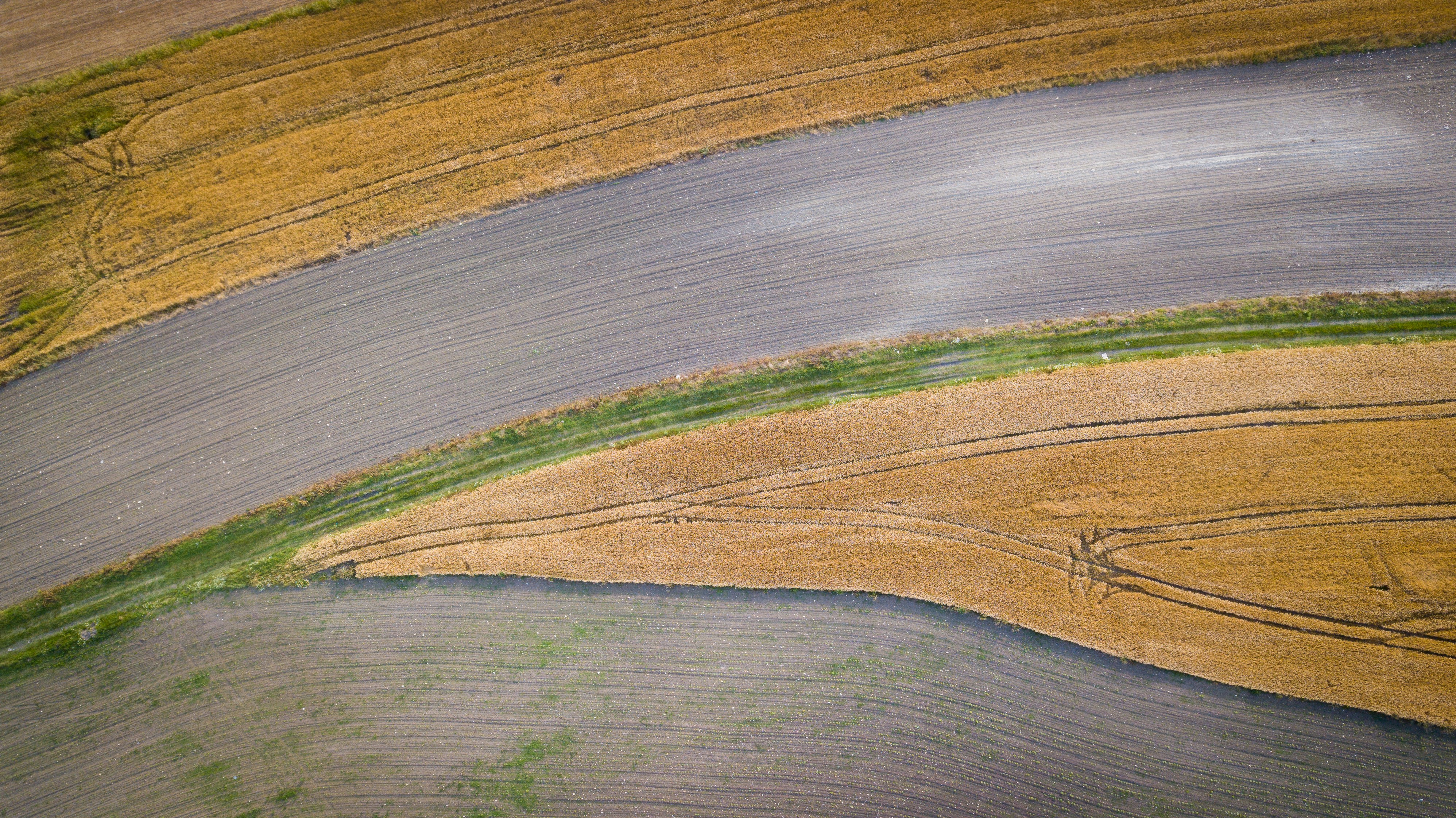 Photo by umityildirim