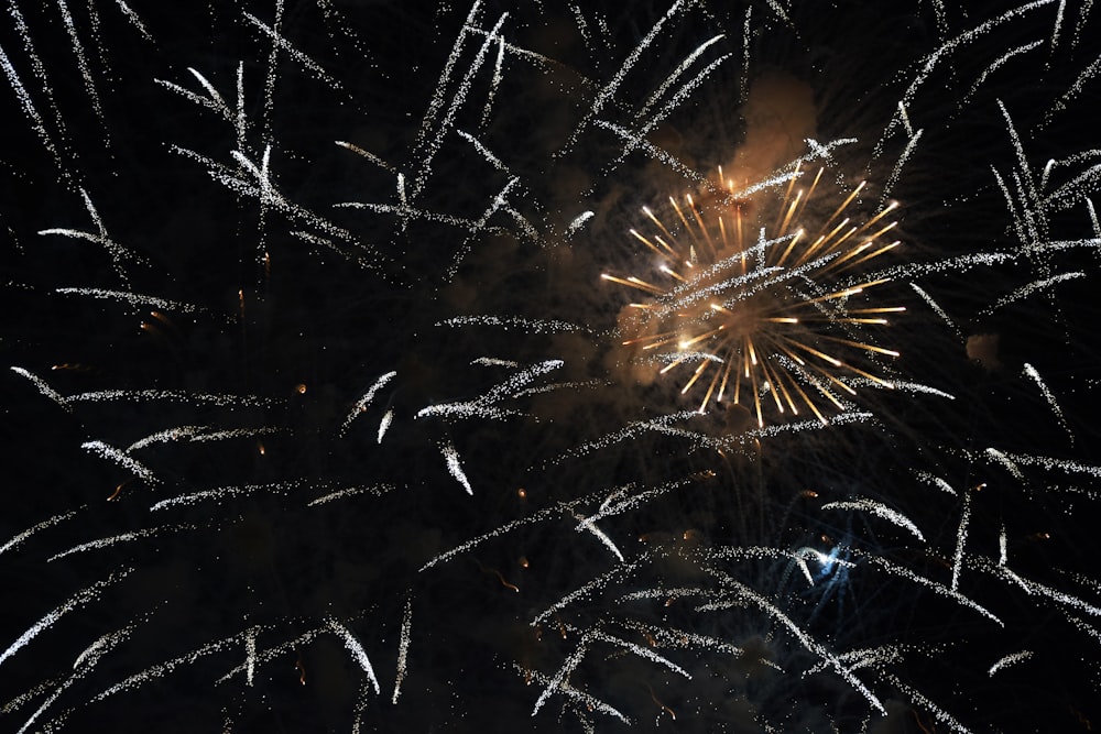 white and brown fireworks display
