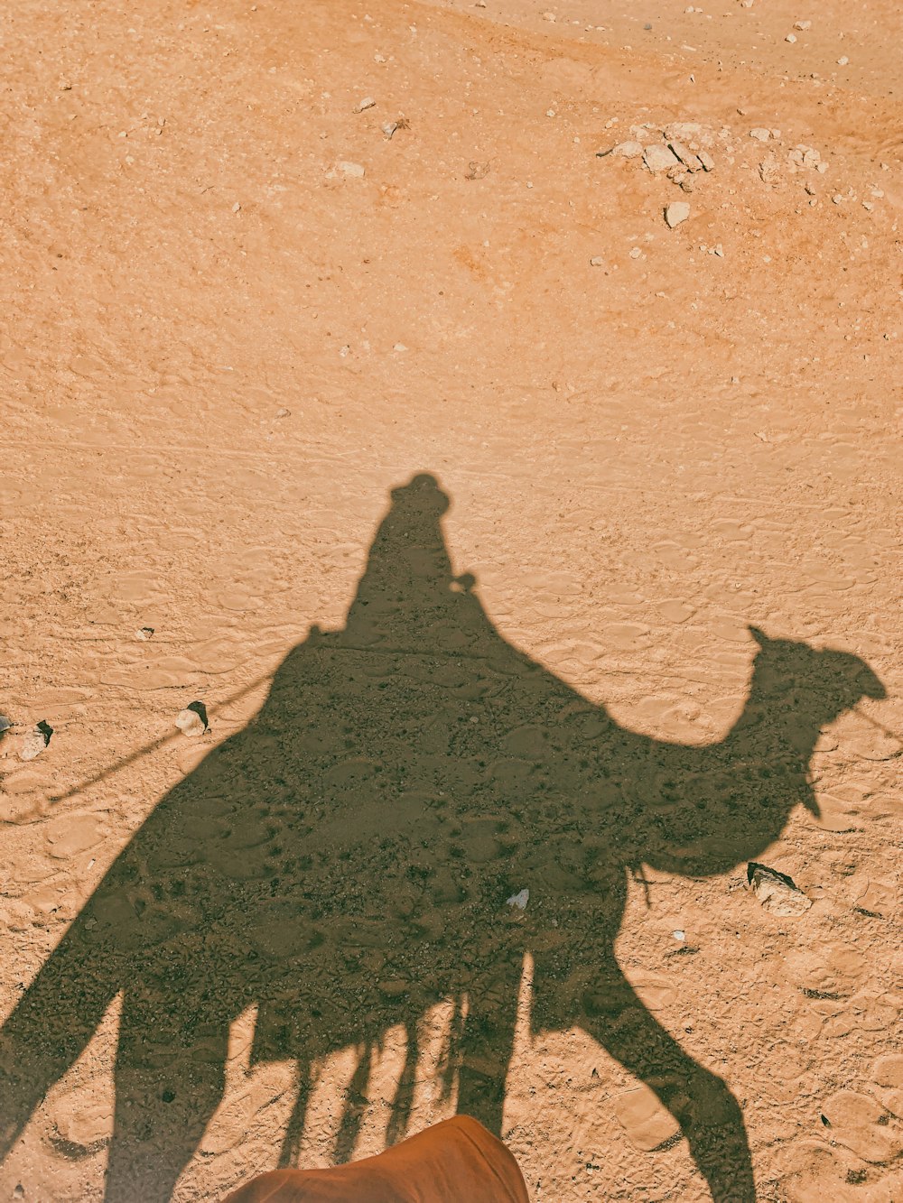 Schatten der Person auf braunem Sand während des Tages