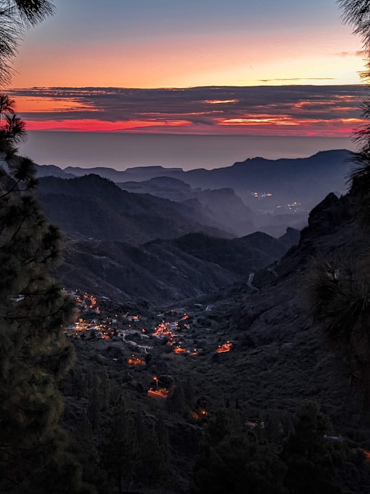 green trees on mountain during sunset in Gran Canaria Spain