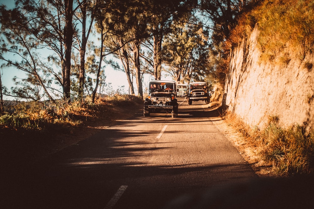 red car on road between trees during daytime