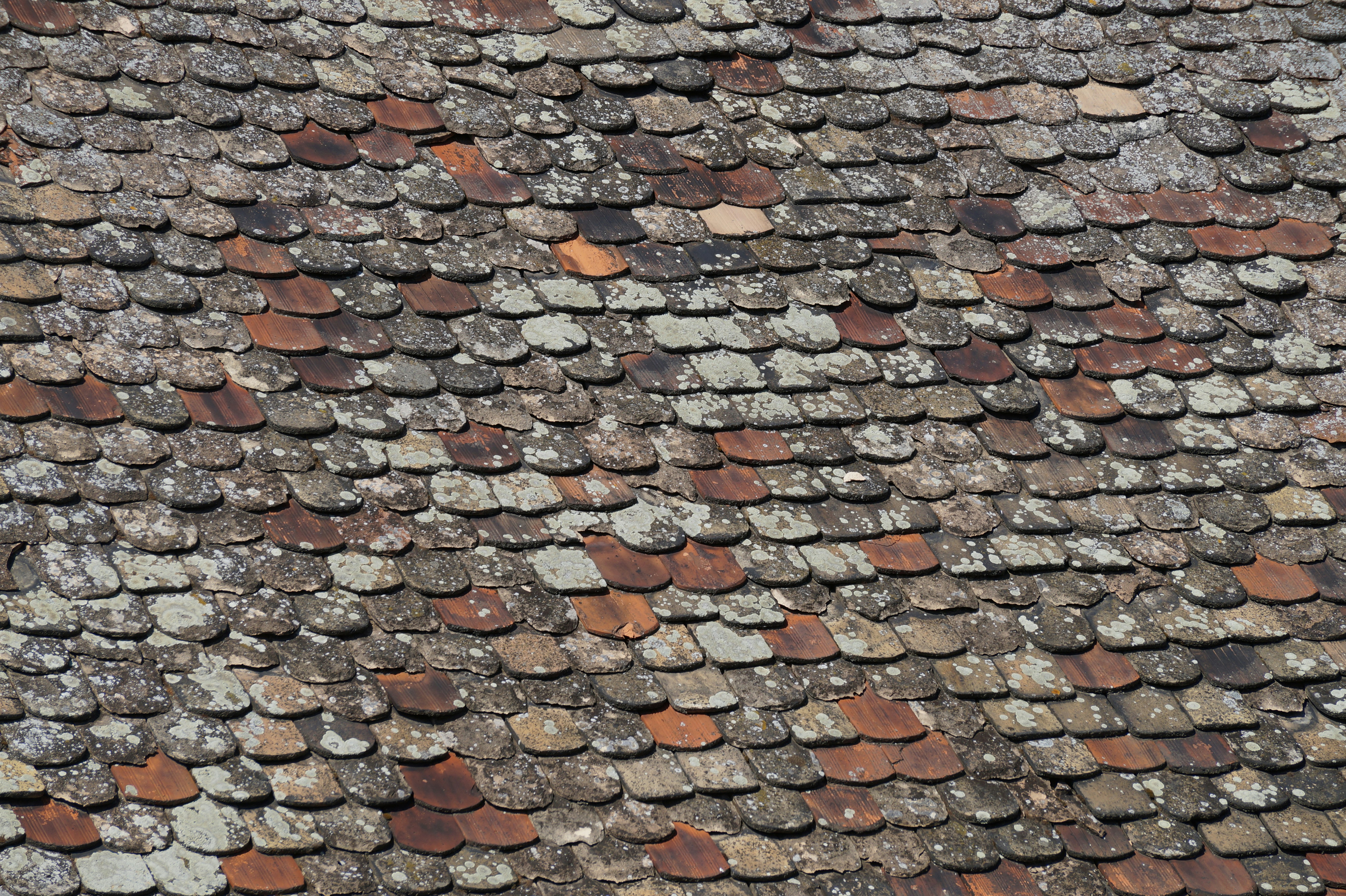 Photo by andras_adam