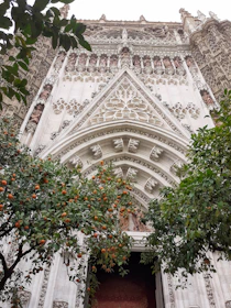 Historic Cádiz cathedral framed by blooming orange trees under a clear blue sky.