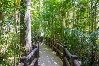 brown wooden bridge over river