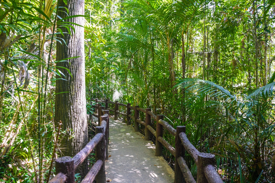 Forest photo spot Krabi Ko Yao Noi Ko Yao District