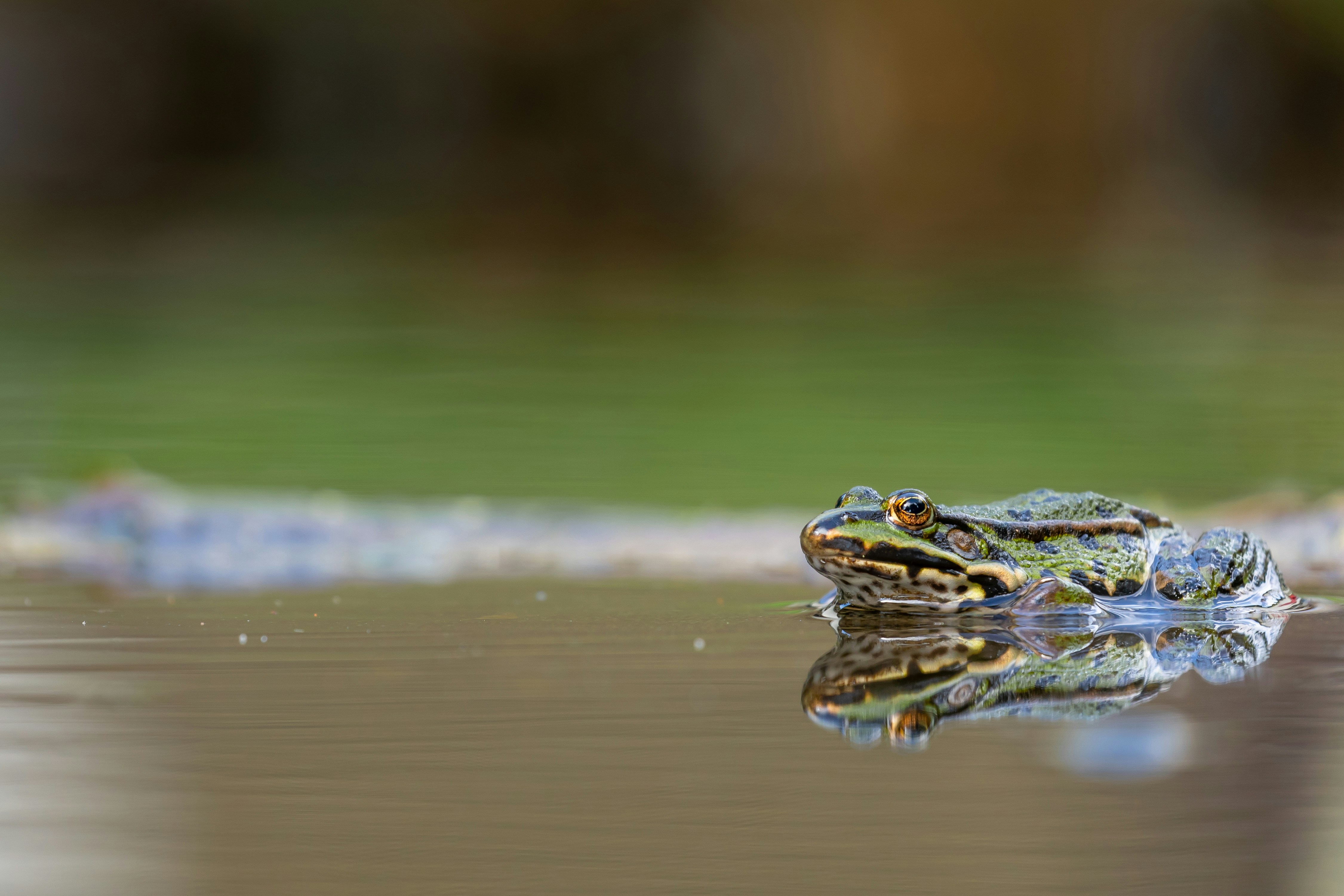 Photo by vincentvanzalinge