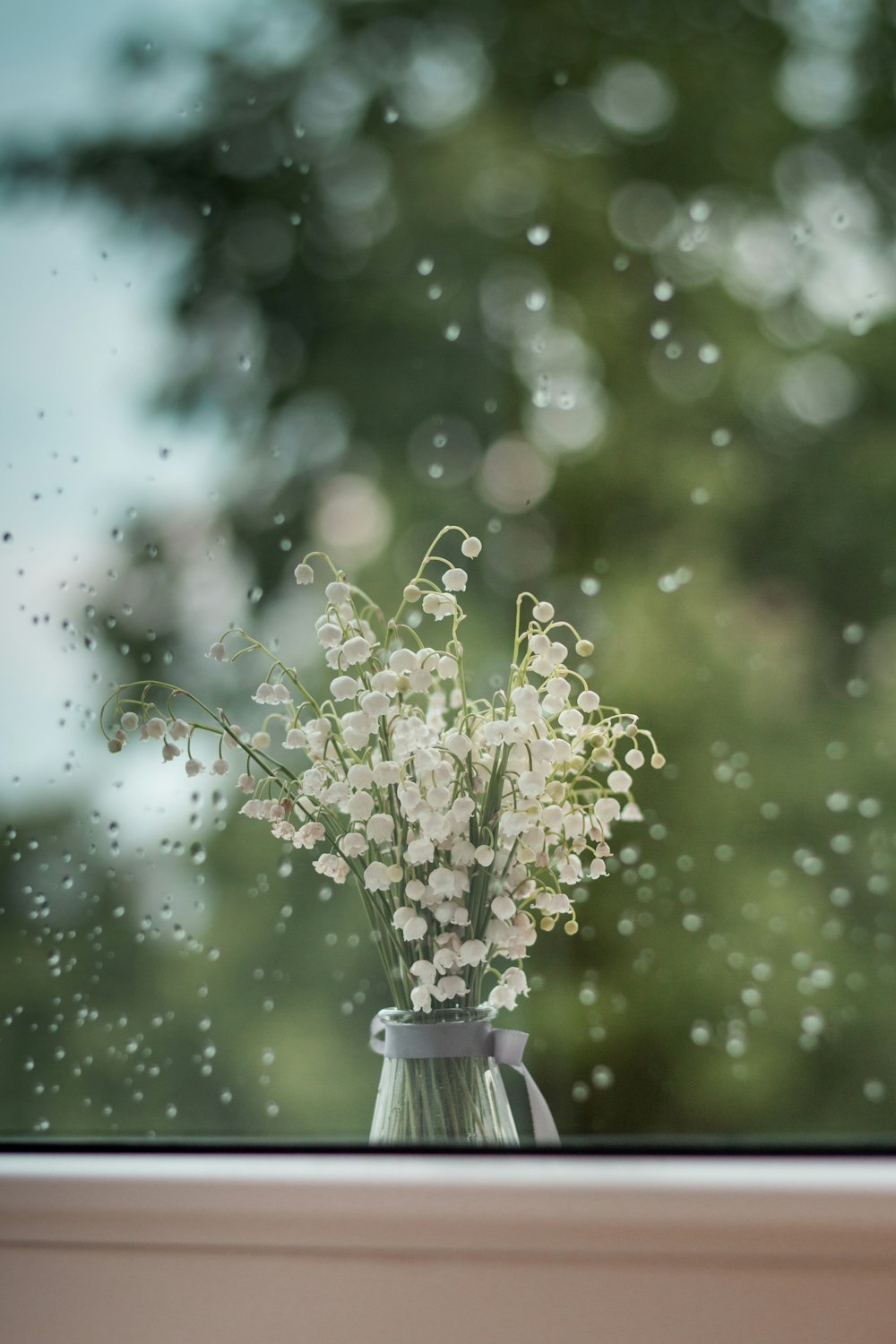 white flowers in gray vase