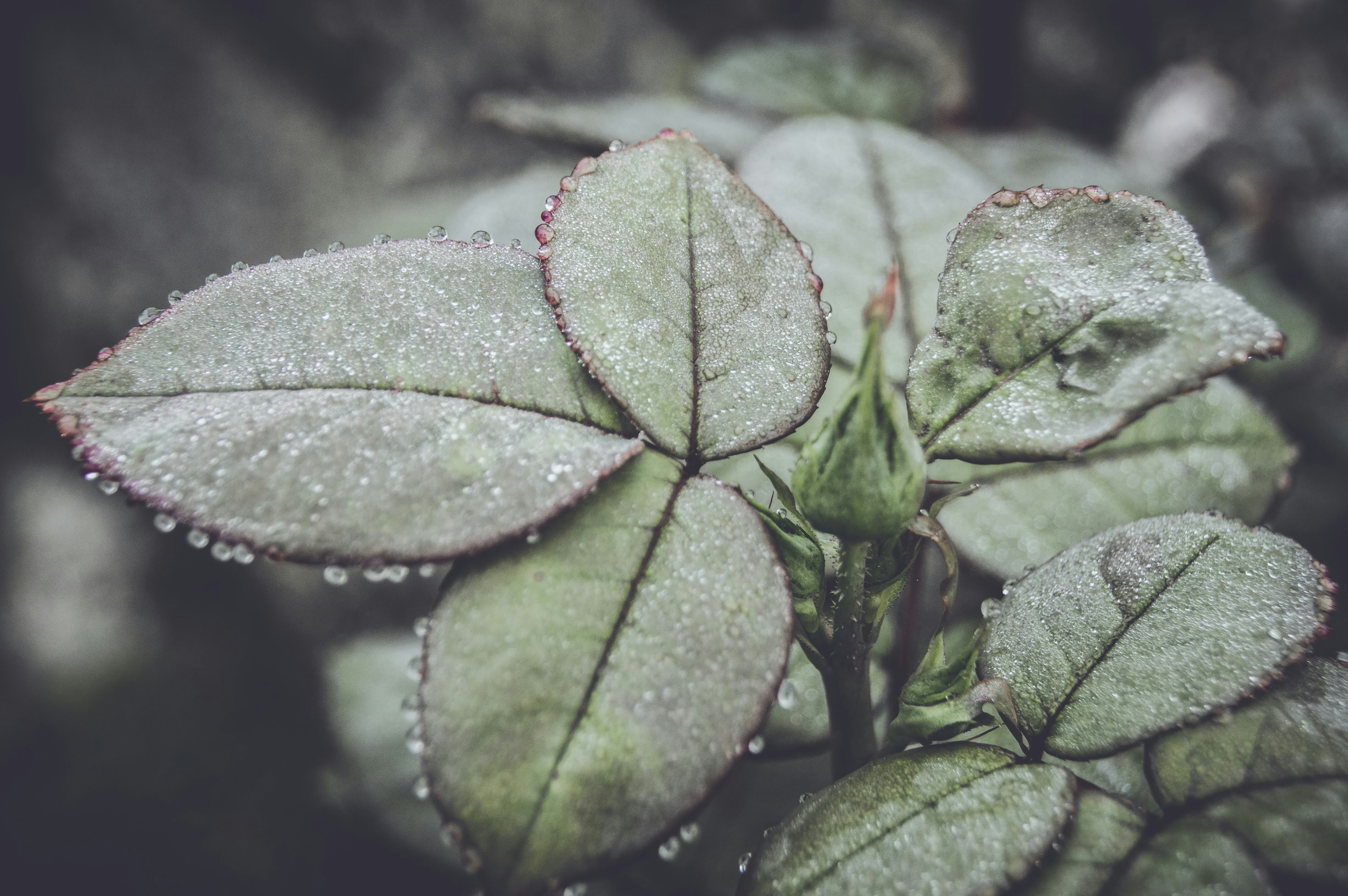 Photo by kikovs