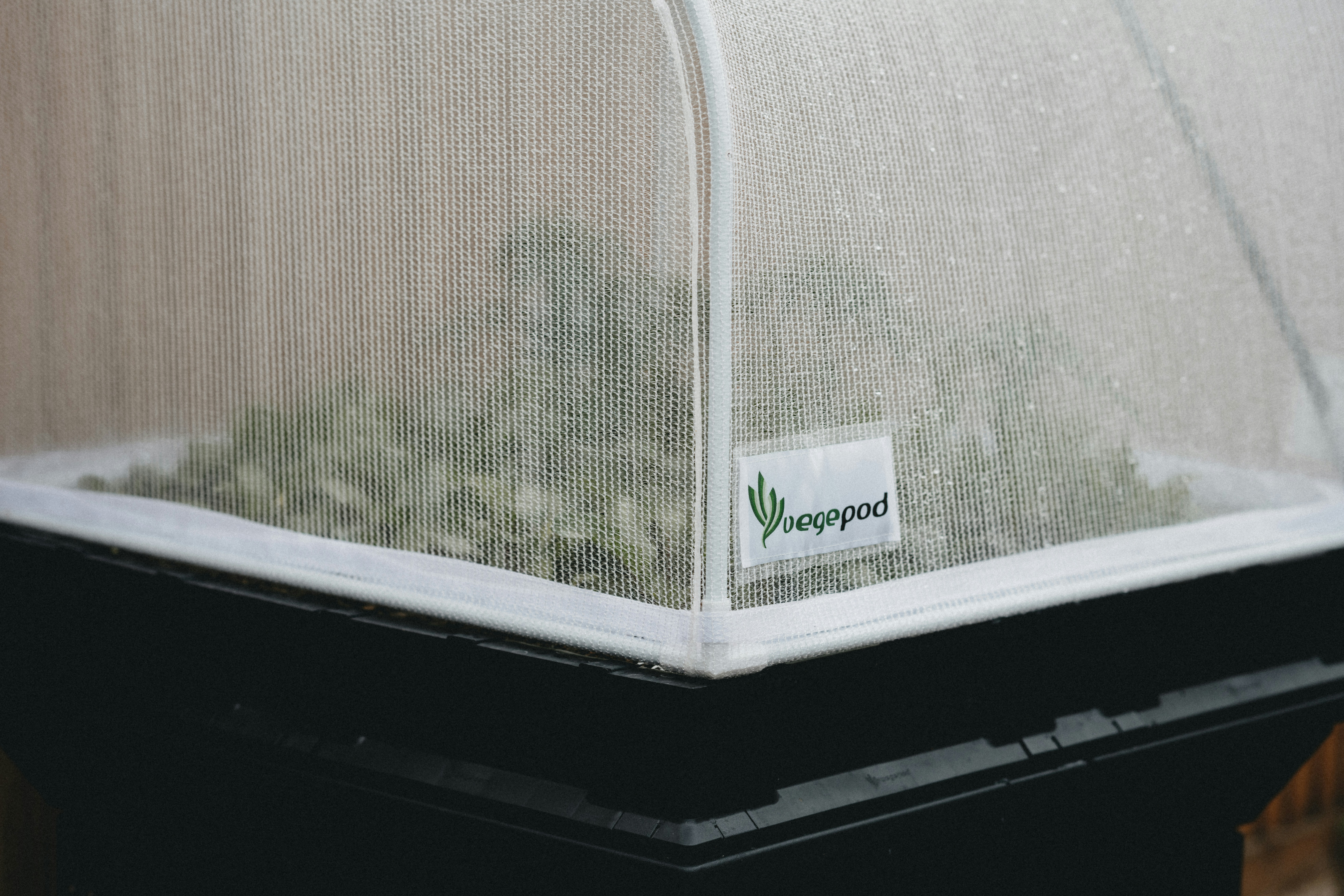 Cleaning UV window film