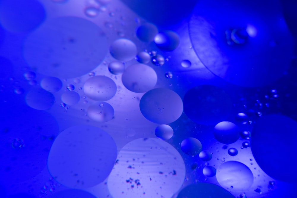 blue and white bubbles illustration