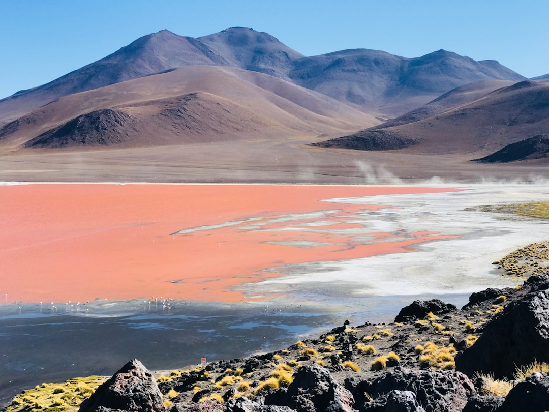 Highland photo spot PotosÃ­ Laguna Colorada