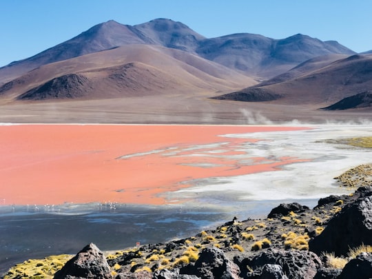 brown mountain near body of water during daytime in Laguna Colorada Bolivia