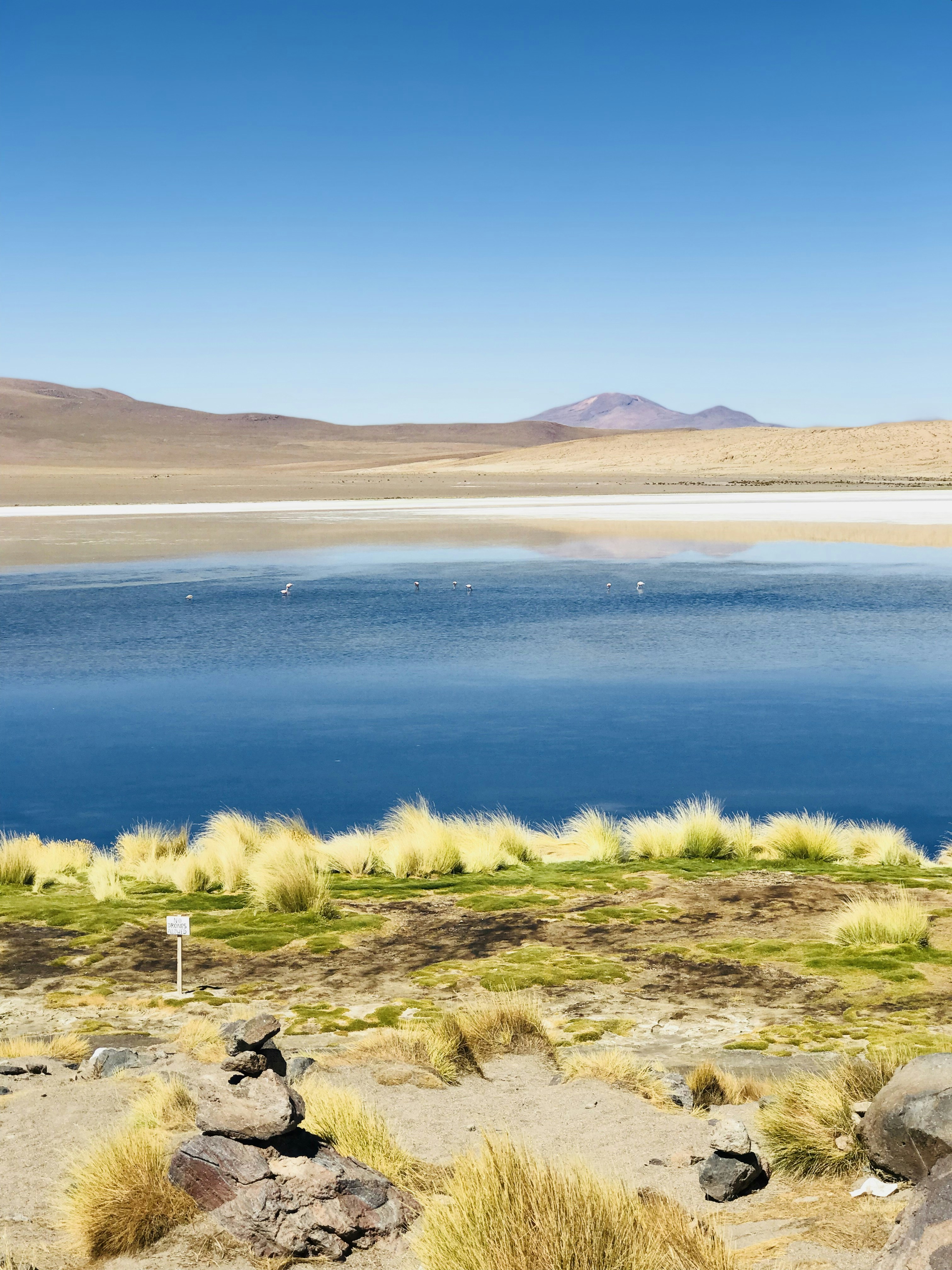 Photo by djeffersonmorais