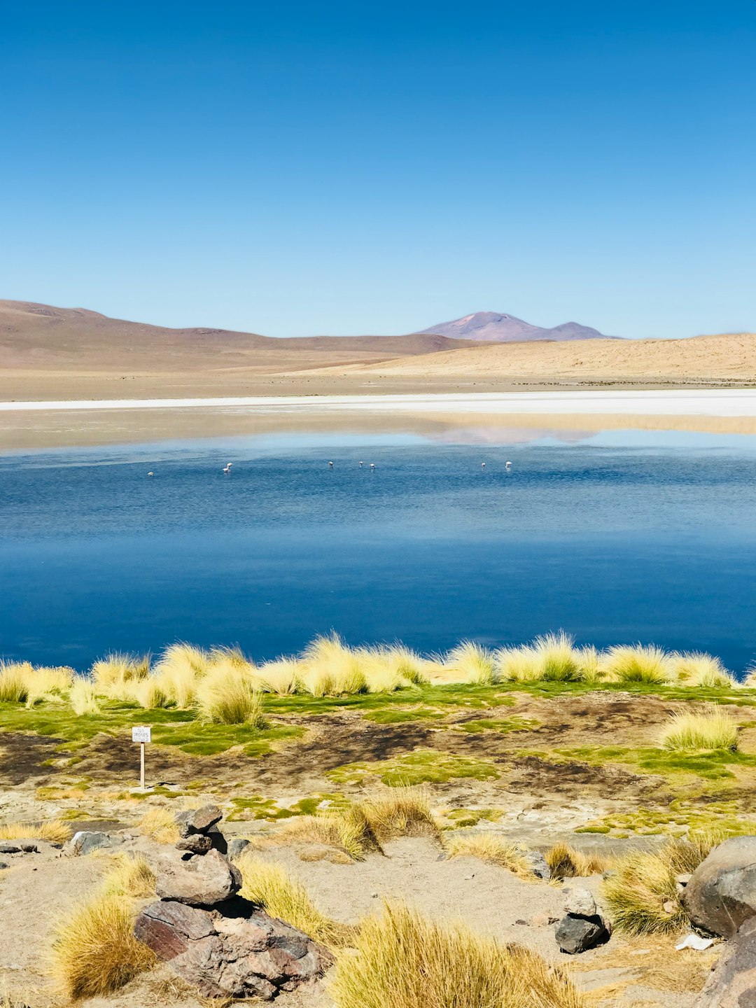 Ecoregion photo spot PotosÃ­ Bolivia