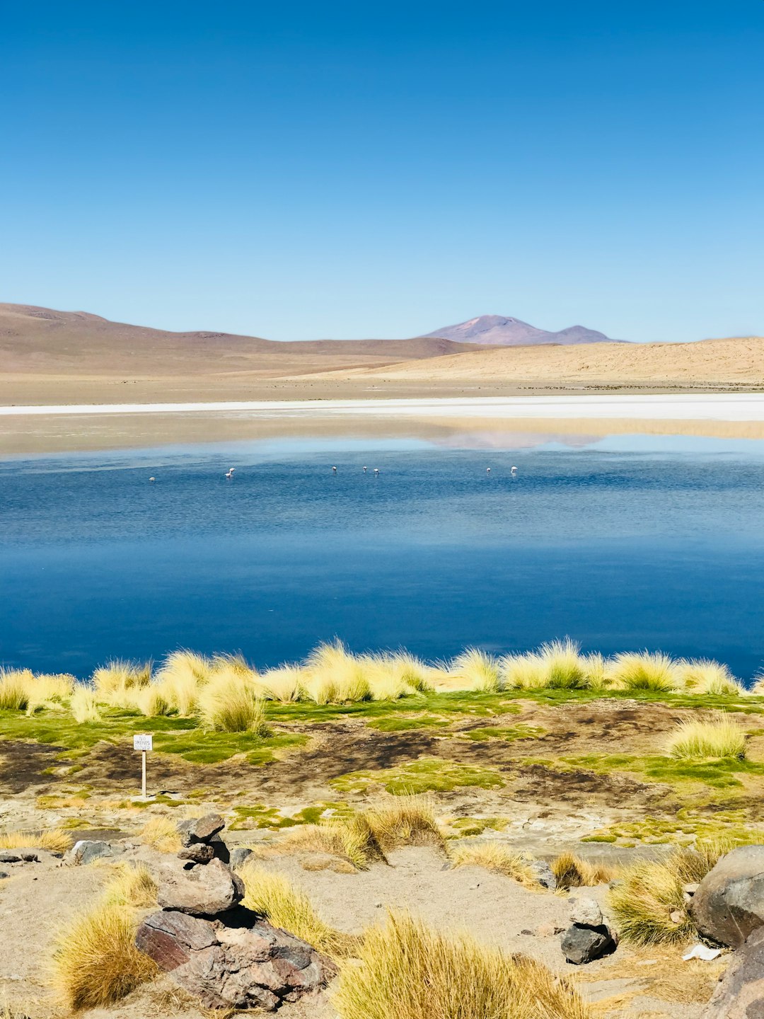 Ecoregion photo spot PotosÃ­ Laguna Colorada