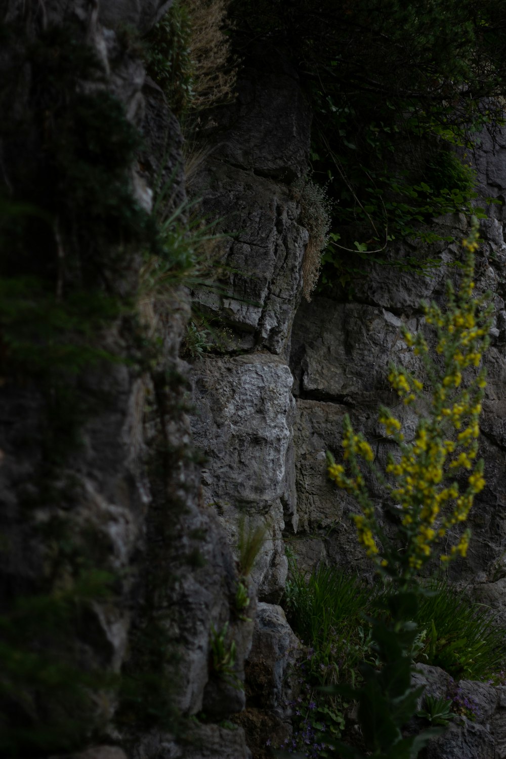 gray rocky mountain with green grass