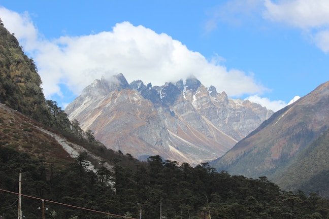Majestic mountains covered in lush greenery under a bright blue sky.