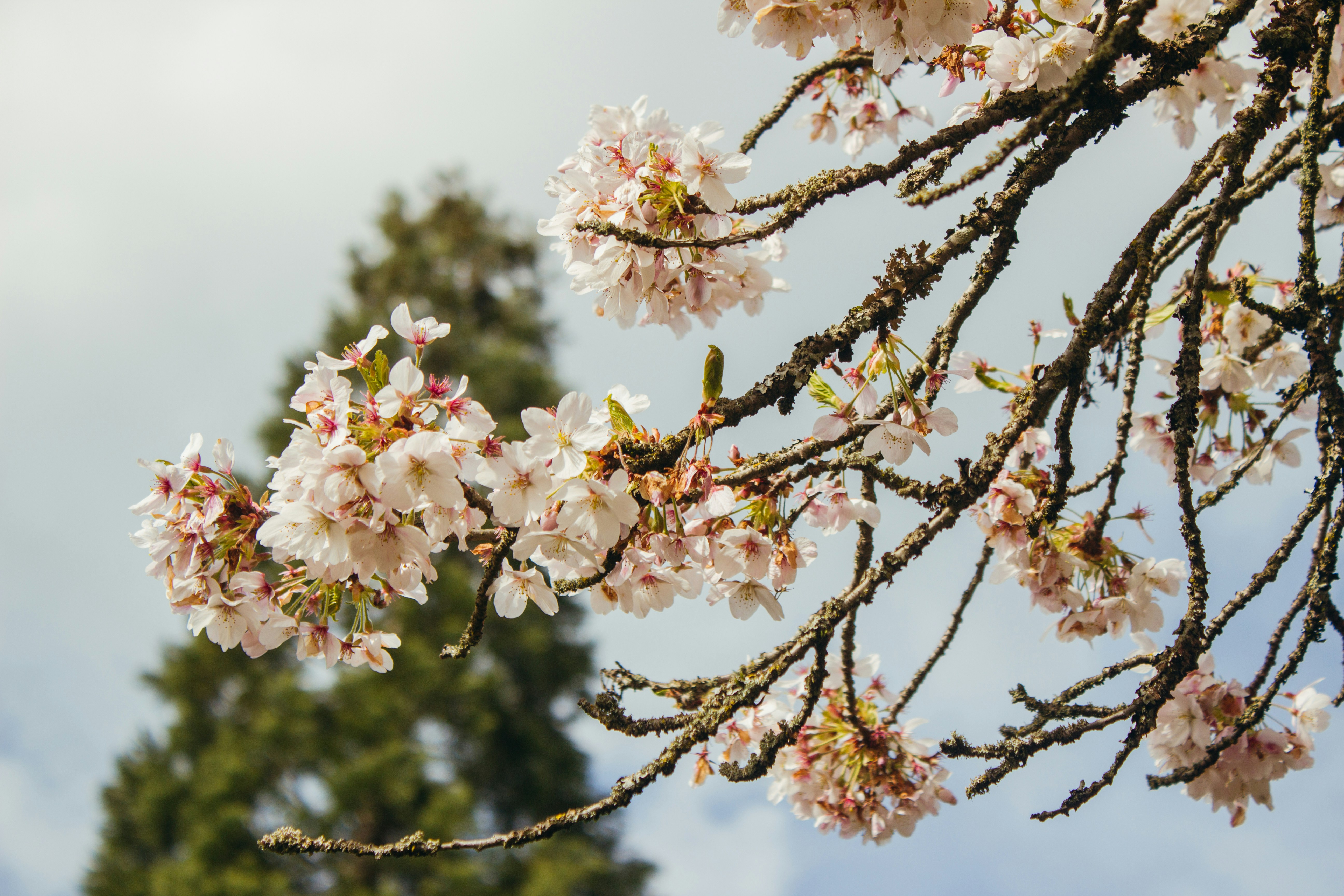 1. Fish and chips 2. Full English breakfast 3. Sunday roast 4. Shepherd's pie 5. Bangers and mash 6. Yorkshire pudding 7. Cornish pasty 8. Ploughman’s lunch 9. Beef Wellington 10. Sticky toffee pudding